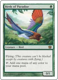 【ENG】《極楽鳥/Birds of Paradise》[8ED]