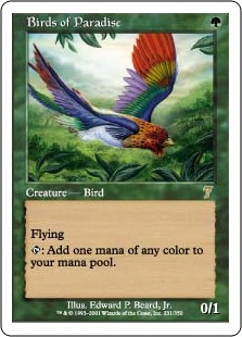 【ENG】【Foil】《極楽鳥/Birds of Paradise》[7ED]