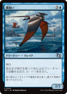 【JPN】《潮掬い/Tide Skimmer》[J25]