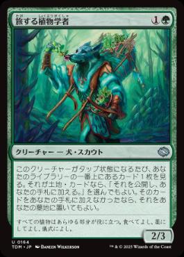 【JPN】【Foil】《旅する植物学者/Traveling Botanist》[TDM]