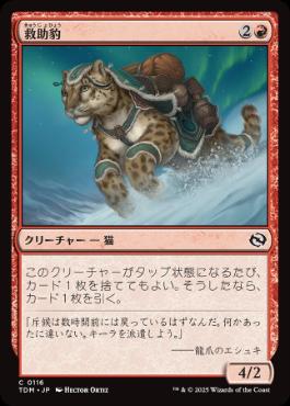 【JPN】《救助豹/Rescue Leopard》[TDM]