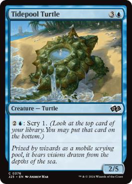 【ENG】《潮溜まりの亀/Tidepool Turtle》[J25]
