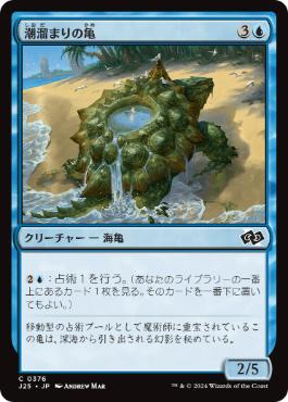【JPN】《潮溜まりの亀/Tidepool Turtle》[J25]
