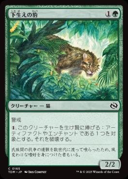 【JPN】【Foil】《下生えの豹/Undergrowth Leopard》[TDM]