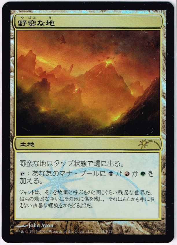 【JPN】【Foil】《野蛮な地/Savage Lands》[FNM]