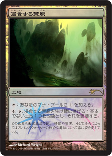 【JPN】【Foil】《浸食する荒原/Encroaching Wastes》[FNM]