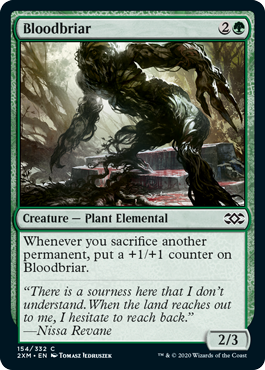 【ENG】【Foil】《血茨/Bloodbriar》[2XM]