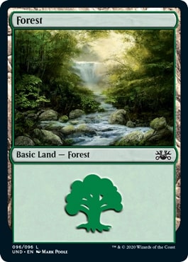 【ENG】《森/Forest》[UND]