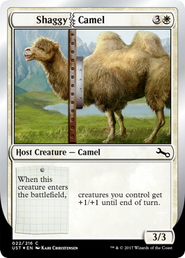 【ENG】《Shaggy|Camel》[UST]