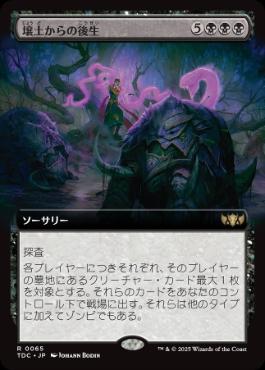 【JPN】■拡張アート■《壌土からの後生/Afterlife from the Loam》[TDC]