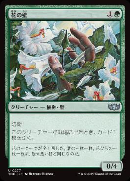 【JPN】《花の壁/Wall of Blossoms》[TDC]