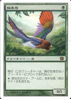 【JPN】《極楽鳥/Birds of Paradise》[8ED]