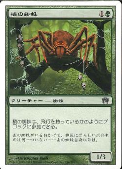 【JPN】【Foil】《梢の蜘蛛/Canopy Spider》[8ED]