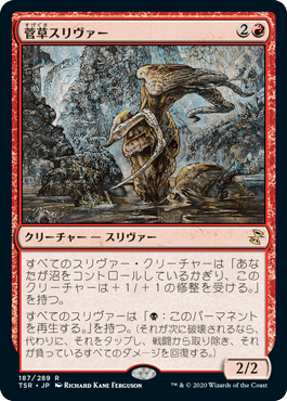 【JPN】《菅草スリヴァー/Sedge Sliver》[TSR]
