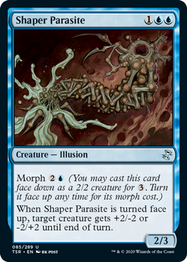 【ENG】《模る寄生/Shaper Parasite》[TSR]