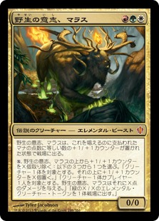 【JPN】《野生の意志、マラス/Marath, Will of the Wild》[C13]