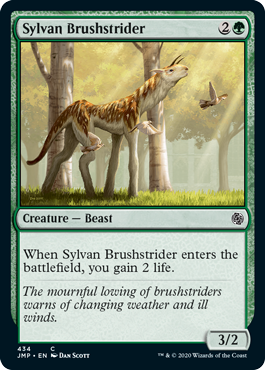 【ENG】《森の刷毛履き/Sylvan Brushstrider》[JMP]