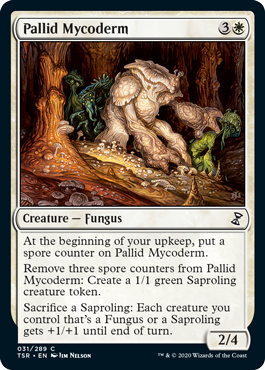 【ENG】《淡色のマイコダーム/Pallid Mycoderm》[TSR]