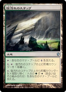 【JPN】《塩汚れのステップ/Saltcrusted Steppe》[C13]