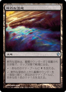 【JPN】《鮮烈な湿地/Vivid Marsh》[C13]