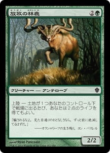 【JPN】《放牧の林鹿/Grazing Gladehart》[C13]