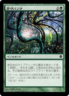 【JPN】《芽吹くツタ/Sprouting Vines》[C13]