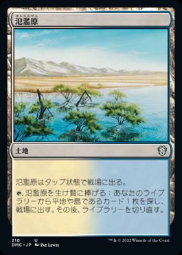 【JPN】《氾濫原/Flood Plain》[DMC]