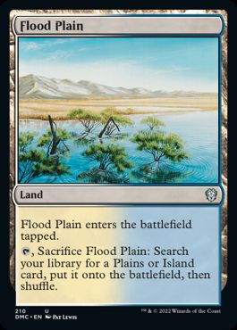 【ENG】《氾濫原/Flood Plain》[DMC]