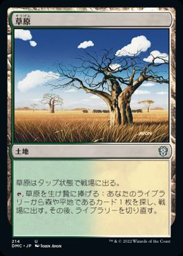 【JPN】《草原/Grasslands》[DMC]