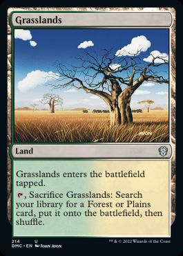 【ENG】《草原/Grasslands》[DMC]