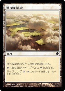 【JPN】《漂う牧草地/Drifting Meadow》[C13]