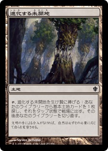 【JPN】《進化する未開地/Evolving Wilds》[C13]