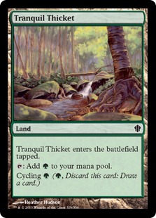 【ENG】《平穏な茂み/Tranquil Thicket》[C13]