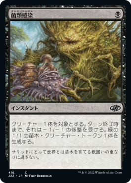 【JPN】《菌類感染/Fungal Infection》[J22]