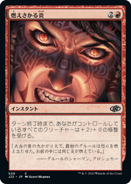 【JPN】《燃えさかる炎/Burn Bright》[J22]