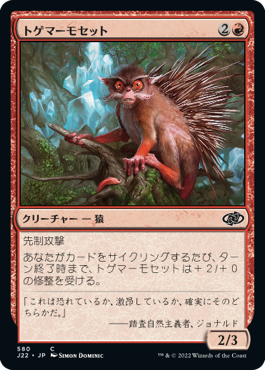 【JPN】《トゲマーモセット/Prickly Marmoset》[J22]