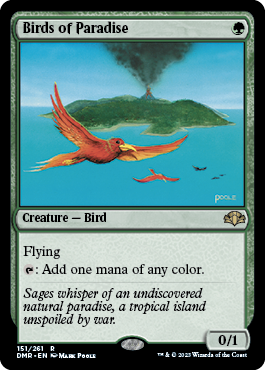 【ENG】《極楽鳥/Birds of Paradise》[DMR]