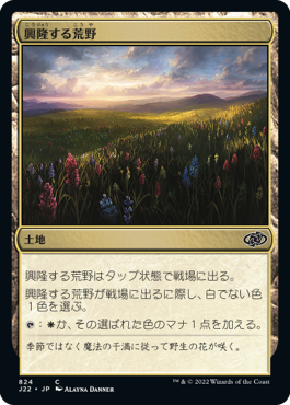 【JPN】《興隆する荒野/Thriving Heath》[J22]