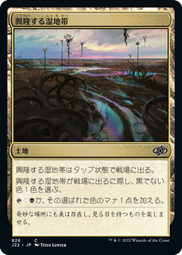 【JPN】《興隆する湿地帯/Thriving Moor》[J22]