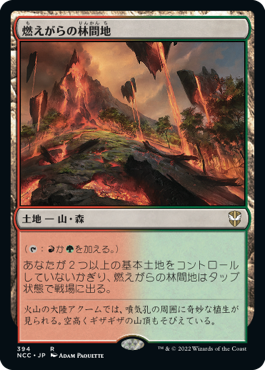 【JPN】《燃えがらの林間地/Cinder Glade》[NCC]