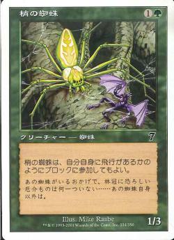 【JPN】【Foil】《梢の蜘蛛/Canopy Spider》[7ED]
