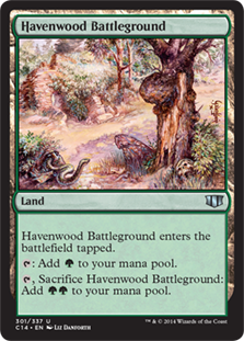 【ENG】《ヘイヴンウッドの古戦場/Havenwood Battleground》[C14]