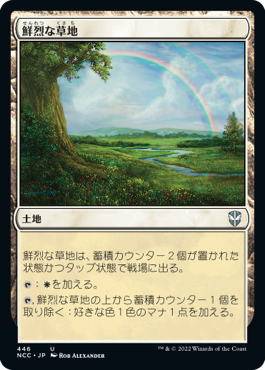 【JPN】《鮮烈な草地/Vivid Meadow》[NCC]