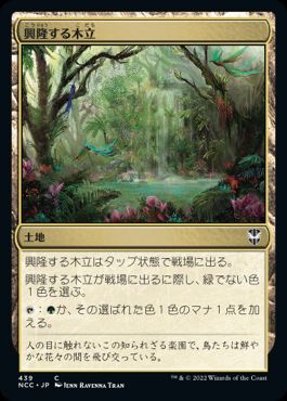 【JPN】《興隆する木立/Thriving Grove》[NCC]