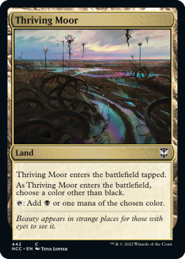 【ENG】《興隆する湿地帯/Thriving Moor》[NCC]