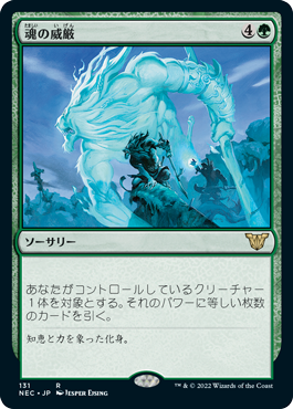 【JPN】《魂の威厳/Soul's Majesty》[NEC]