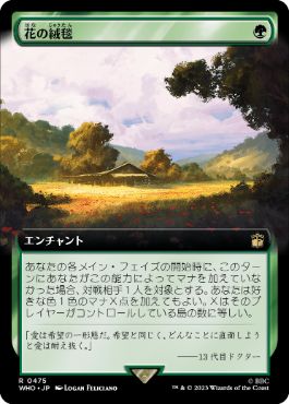 【JPN】■拡張アート■《花の絨毯/Carpet of Flowers》[WHO]