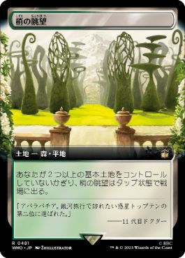 【JPN】【Foil】■拡張アート■《梢の眺望/Canopy Vista》[WHO]