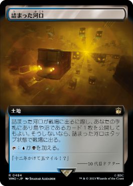 【JPN】【Foil】■拡張アート■《詰まった河口/Choked Estuary》[WHO]