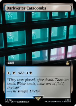 【ENG】【Foil】■拡張アート■《ダークウォーターの地下墓地/Darkwater Catacombs》[WHO]